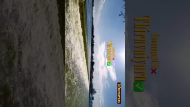 Photo of கூமாப்பட்டி ❌ திருவையாறு ✅ | Koomappatti ❌ Thiruvaiyaru ✅ The Beauty of Cauvery #trending #viral #ko