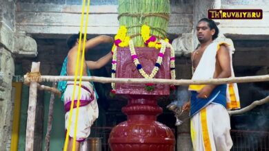 Photo of родро┐ро░рпБро╡ро╛ро░рпВро░рпН ро╕рпНро░рпА родро┐ропро╛роХро░ро╛роЬроЪрпБро╡ро╛рооро┐ роЖро▓роп ро╕рпНро░рпА роХрооро▓ро╛роорпНрокро╛ро▓рпН роЖроЯро┐рокрпНрокрпВро░ро╡ро┐ро┤ро╛ роХрпКроЯро┐ропрпЗро▒рпНро▒роорпН| Kodiyetram|Thiruvaiyaru