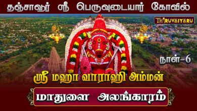 Photo of தஞ்சாவூர் ஸ்ரீ பெருவுடையார் கோவில் ஸ்ரீ மஹா வாராஹி அம்மன் ஆஷாட நவராத்திரி விழா நாள்-6 | Day-6
