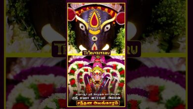 Photo of தஞ்சாவூர் ஸ்ரீ பெருவுடையார் கோவில் ஸ்ரீ மஹா வாராஹி அம்மன் சந்தன அலங்காரம் #திருவையாறு #shorts