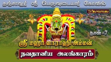 Photo of родроЮрпНроЪро╛ро╡рпВро░рпН ро╕рпНро░рпА рокрпЖро░рпБро╡рпБроЯрпИропро╛ро░рпН роХрпЛро╡ро┐ро▓рпН ро╕рпНро░рпА рооро╣ро╛ ро╡ро╛ро░ро╛ро╣ро┐ роЕроорпНрооройрпН роЖро╖ро╛роЯ роиро╡ро░ро╛родрпНродро┐ро░ро┐ ро╡ро┐ро┤ро╛ роиро╛ро│рпН-7 | Day-7