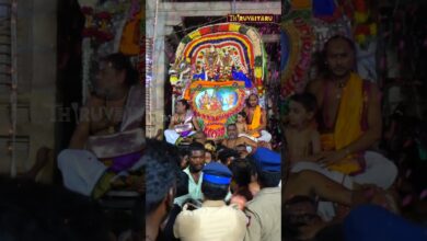 Photo of திருவையாறு ஸ்ரீ ஐயாறப்பர் ஆலய ஆடி அமாவாசை அப்பர் கயிலைக்காட்சி விழா நாளை நேரலை புரோமோ| thiruvaiyaru