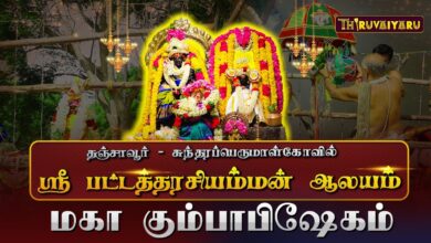 Photo of தஞ்சாவூர் – சுந்தரப்பெருமாள்கோவில் ஸ்ரீ பட்டத்தரசியம்மன் ஆலய மகா கும்பாபிஷேகம் | Maha Kumbabhishekam