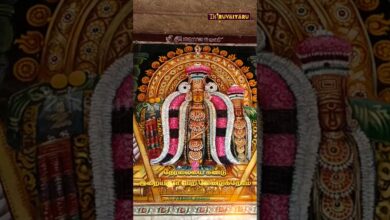 Photo of திருவாரூர் ஸ்ரீ அல்லியங்கோதை உடனுறை ஸ்ரீ தியாகராஜசுவாமி ஆலய ஆடி சுவாதி பெருவிழா புரோமோ | Live Promo