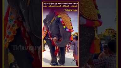 Photo of திருச்செந்தூர் ஸ்ரீ சுப்பிரமணியசுவாமி ஆலய மகா கும்பாபிஷேகம் தீர்த்தம் எடுத்தல்#திருவையாறு#தீர்த்தம்