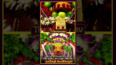 Photo of தஞ்சாவூர் ஸ்ரீ பெருவுடையார் கோவில் ஸ்ரீ மஹா வாராஹி அம்மன் காய்கறி அலங்காரம் #திருவையாறு #shorts