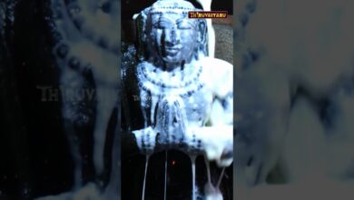 Photo of திருவையாறு ஸ்ரீ ஐயாறப்பர் ஆலய ஆடி அமாவாசை அப்பர் கயிலைக்காட்சி விழா நேரலை புரோமோ – 2 | Thiruvaiyaru