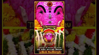 Photo of தஞ்சாவூர் ஸ்ரீ பெருவுடையார் கோவில் ஸ்ரீ மஹா வாராஹி அம்மன் புஷ்பம் அலங்காரம் #திருவையாறு #shorts