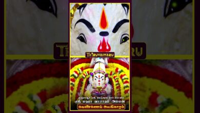 Photo of தஞ்சாவூர் ஸ்ரீ பெருவுடையார் கோவில் ஸ்ரீ மஹா வாராஹி அம்மன் வெண்ணெய் அலங்காரம் #திருவையாறு #shorts