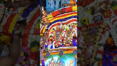 Photo of திருவையாறு ஸ்ரீ ஐயாறப்பர் ஆலய ஆடி அமாவாசை அப்பர் கயிலைக்காட்சி விழா நேரலை புரோமோ | Thiruvaiyaru