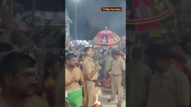 Photo of ஆடி கிருத்திகை பழனி ஸ்ரீ தண்டாயுதபாணி சுவாமி ஆலய தங்கத்தேர் புறப்பாடு #thiruvaiyaru #திருவையாறு