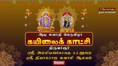 Photo of 🔴Live – திருவாரூர் ஸ்ரீ தியாகராஜசுவாமி ஆலய ஆடி சுவாதி பெருவிழா நம்பி ஆரூரர் கைலாயக்காட்சி விழா 2025