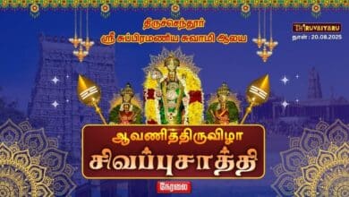 Photo of 🔴 LIVE – திருச்செந்தூர் ஸ்ரீ சுப்பிரமணிய சுவாமி ஆலய ஆவணித்திருவிழா சிவப்புசாத்தி | Sivappu Saathi