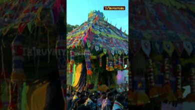 Photo of தப்பளாம்புலியூர் ஸ்ரீ பிடாரியம்மன் (விழுந்து எமுந்தாளம்மன்) ஆலய தேர்த்திருவிழா #திருவையாறு #shorts