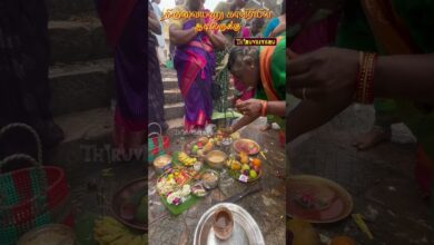 Photo of திருவையாறு காவிரி ஆற்று புஷ்ப மண்டப படித்துறையில் ஆடிப்பெருக்கு சிறப்பு வழிபாடு #thiruvaiyaru