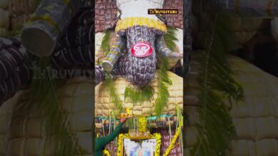 Photo of பல்வேறு ஊர்களில் விநாயகர் ஊர்வலத்திற்கு சிறப்பாக தயாராக இருக்கும் சிலைகள் #vinayagarchaturthi2025