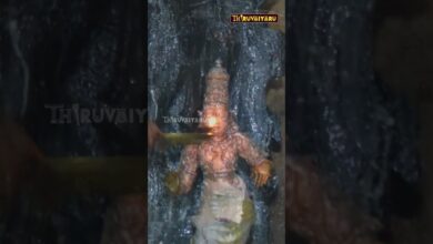 Photo of விஷ்ணம்பேட்டை ஸ்ரீ கிருஷ்ண ஜன்மாஷ்டமி மஹோற்சவம் சிறப்பு அபிஷேகம் #abishekam #thiruvaiyaru