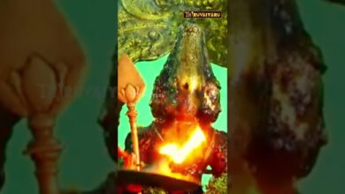 Photo of திருச்செந்தூர் ஸ்ரீ சுப்பிரமணிய சுவாமி ஆலய ஆவணித்திருவிழா பச்சை சாத்தி #திருவையாறு #shorts