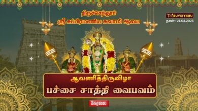 Photo of 🔴LIVE : திருச்செந்தூர் ஸ்ரீ சுப்பிரமணிய சுவாமி ஆலய ஆவணித்திருவிழா பச்சை சாத்தி | Pachai Saathi