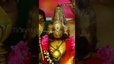 Photo of திருச்செந்தூர் ஸ்ரீ சுப்பிரமணிய சுவாமி ஆலய ஆவணித்திருவிழா சிவப்புசாத்தி #திருவையாறு #abishekam