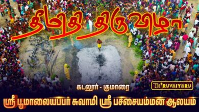 Photo of கடலூர் – குமாரை ஸ்ரீ பூமாலையப்பர் சுவாமி ஸ்ரீ பச்சையம்மன் ஆலய தீமிதி | Theemithi | Thiruvaiyaru