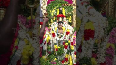 Photo of родроЮрпНроЪро╛ро╡рпВро░рпН рокрпБрогрпНрогро┐ропроиро▓рпНро▓рпВро░рпН роХрпЛродрогрпНроЯро░ро╛рооро░рпН роЖро▓ропроорпН