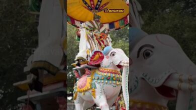 Photo of திட்டக்குடி குமாரை ஸ்ரீ பூமாலையப்பர் ஆலய தீமிதி திருத்தேர் திருவிழா Tittagudi Kumarai Poomalaiyappar