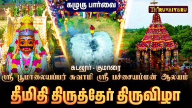 Photo of கடலூர் – குமாரை ஸ்ரீ பூமாலையப்பர்சுவாமி ஸ்ரீ பச்சையம்மன் ஆலய தீமிதி திருத்தேர் திருவிழா | Drone View