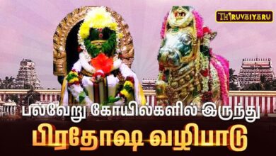 Photo of 🔴பல்வேறு கோயில்களில் இருந்து பிரதோஷவழிபாடு | Various Temples from Pradosha Vazhipadu | Thiruvaiyaru