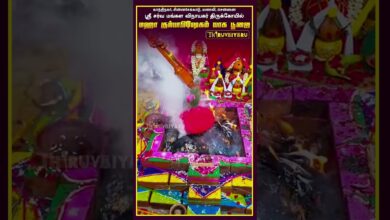 Photo of ஸ்ரீ சர்வமங்கள விநாயகர் ஆலய மஹா கும்பாபிஷேகம் யாக பூஜை – காந்திநகர், சின்னசேக்காடு, மணலி, சென்னை