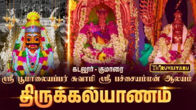 Photo of குமாரை ஸ்ரீ பூமாலையப்பர் & பச்சையம்மன் ஆலய திருக்கல்யாணம்|Sri Poomalaiyappar & Pachaiyamman Kalyanam
