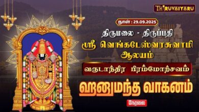Photo of 🔴LIVE : திருமலை-திருப்பதி ஸ்ரீ வெங்கடேஸ்வரர் ஆலய வருடாந்திர பிரம்மோற்சவம் அனுமன் வாகனம்
