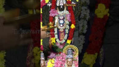 Photo of தஞ்சாவூர் வடக்கு வீதி ராஜகோபாலசுவாமி ஆலயம் | Thanjavur Vadakkuveethi Rajagopalaswamy Temple