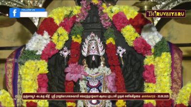 Photo of 🔴LIVE : பல்வேறு கோயில்களில் இருந்து புரட்டாசி மாத முதல் சனிக்கிழமை அலங்காரங்கள் | Alangaram