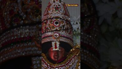 Photo of தஞ்சாவூர் தெற்குவீதி ஸ்ரீ கலியுக பெருமாள் ஆலயம் |Thanjavur Therkuveethi  Sri Kaliyuga Perumal Temple