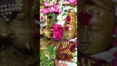 Photo of தஞ்சாவூர் கீழவாசல் ஸ்ரீ நரசிம்ம பெருமாள் ஆலயம்