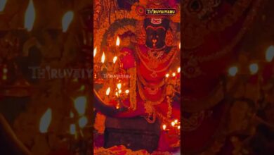 Photo of திருமீயச்சூர் ஸ்ரீ லலிதாம்பிகை ஆலய நவராத்திரி விழா லட்சார்ச்சனை✨| Navaratri Festival Laksharchanai✨