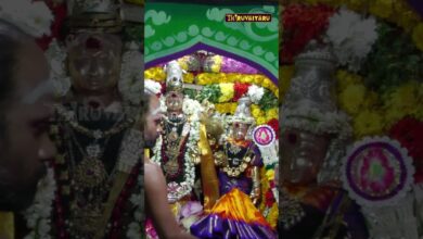 Photo of திருவையாறு ஸ்ரீ ஐயாறப்பர் ஆலய தெப்ப திருவிழா | Theppam Thiruviazha #thiruvaiyaru #shorts #theppam