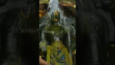 Photo of தஞ்சாவூர் நாலுகல்மண்டபம் ஸ்ரீ பிரசன்ன வெங்கடேசபெருமாள் ஆலயம்புரட்டாசி சனிக்கிழமையையொட்டி திருமஞ்சனம்