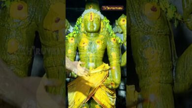 Photo of கும்பகோணம் ஸ்ரீ ஸ்ரீநிவாச பெருமாள் ஆலயம் – புரட்டாசி 3ஆம் சனிக்கிழமையையொட்டி திருமஞ்சன சிறப்பு