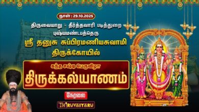 Photo of ЁЯФ┤Live : родро┐ро░рпБро╡рпИропро╛ро▒рпБ ро╕рпНро░рпА родройрпБроЪрпБ роЪрпБрокрпНрокро┐ро░роорогро┐ропроЪрпБро╡ро╛рооро┐ роЖро▓роп роХроирпНродроЪро╖рпНроЯро┐ рокрпЖро░рпБро╡ро┐ро┤ро╛ родро┐ро░рпБроХрпНроХро▓рпНропро╛рогроорпН | Sasti Vizha