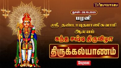 Photo of 🔴LIVE : பழனி ஸ்ரீ தண்டாயுதபாணி சுவாமி ஆலய கந்த சஷ்டி திருவிழா திருக்கல்யாணம் | Thirukalyanam