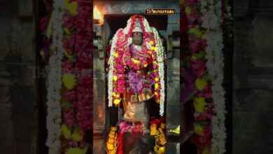 Photo of திருமீயச்சூர் லலிதாம்பிகை சமேத மேகநாத சுவாமி ஆலய நவராத்திரி விழா நெய்க்குள தரிசனம் | Thiruvaiyaru