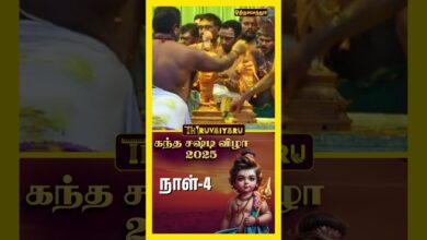 Photo of 🌺 கந்த சஷ்டி விழா திருச்செந்தூர் | Kandha Sashti Vizha 2025 | Day -4 | முருகன் தரிசனம் |  🙏✨