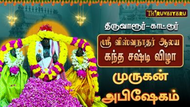 Photo of திருவாரூர்–காட்டூர் ஸ்ரீ விஸ்வநாதர் ஆலய கந்த சஷ்டி விழா முருகன் அபிஷேகம் | Sirappu Abishekam