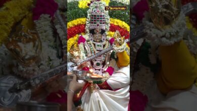 Photo of திருமீயச்சூர் லலிதாம்பிகை சமேத மேகநாத சுவாமி ஆலய கடம் அபிஷேகம் | Thiruvaiyaru