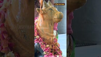 Photo of கும்பகோணம் ஸ்ரீ வலம்புரி வினாயகர் ஆலயம் – இராமநாதசுவாமி, நந்தியம்பெருமானுக்கு சனி பிரதோஷ சிறப்பு