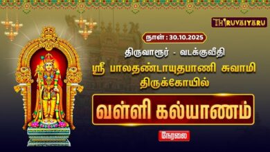 Photo of 🔴Live : திருவாரூர் – வடக்குவீதி ஸ்ரீ பால தண்டாயுதபாணி சுவாமி ஆலய வள்ளி கல்யாணம் | Valli Kalyanam