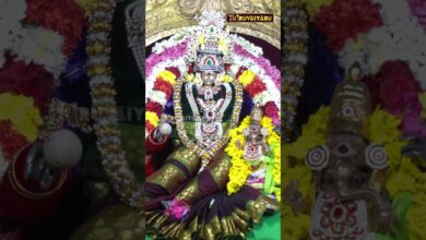Photo of அரியூர் ஸ்ரீ திருவேஸ்வரமுடையார் ஆலய விநாயகர் பெருமானுக்கு கனி கொடுக்கும் காட்சி |  Thiruvaiyaru