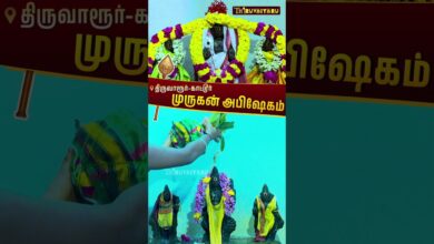 Photo of முருகன் அபிஷேகம் | திருவாரூர்–காட்டூர் ஸ்ரீ விஸ்வநாதர் ஆலய கந்தசஷ்டி விழா | Sirappu Abishekam #sasti